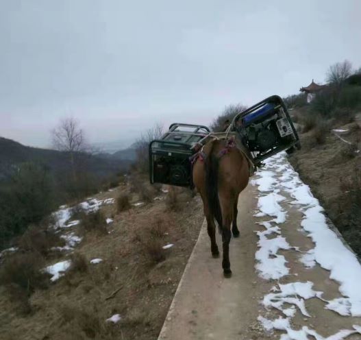 深圳深圳骡子运输队